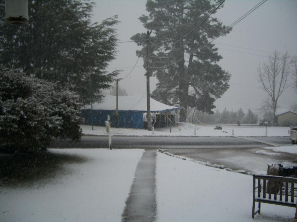 Rainbow Pines Tourist Caravan Park Adaminaby Esterno foto